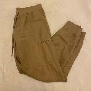 Aritzia Community Ion Joggers